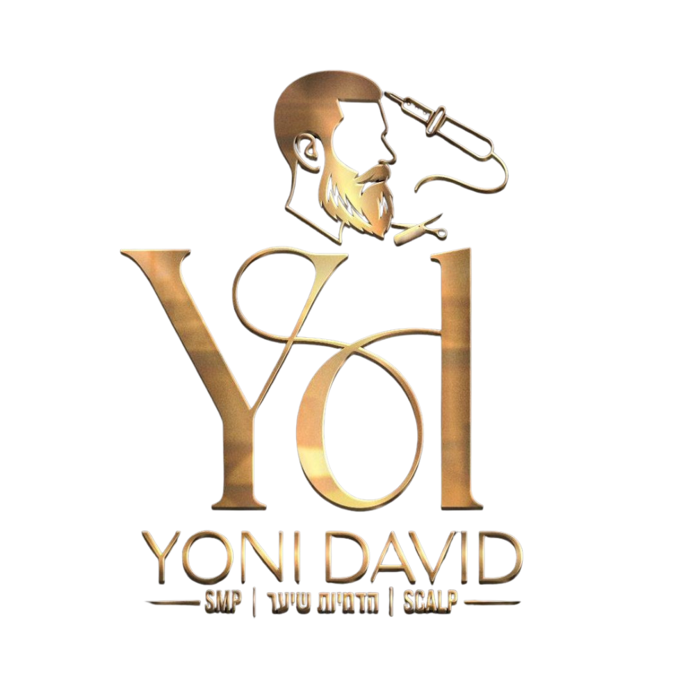 לוגו Yoni David